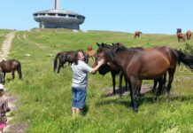 Horse Riding Tours horse whisperer bulgaria tours