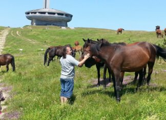 Horse Riding Tours horse whisperer bulgaria tours