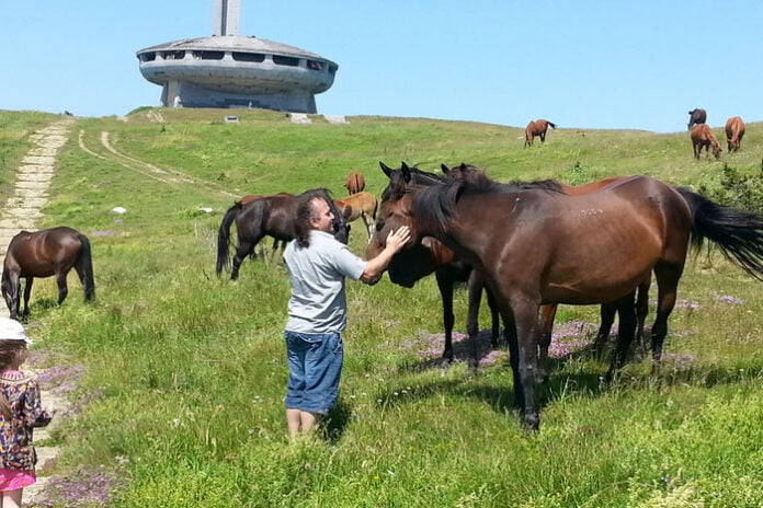 horse whisperer bulgaria tours