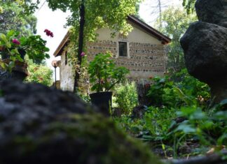 Sofia Walking Tour Discover Bulgaria’s Capital on Foot