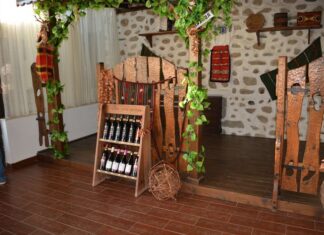 Melnik Wine Tour for Bulgarian Wine Culture and Scenic Hills